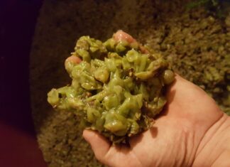 Macerirana bela vina so naša tradicija