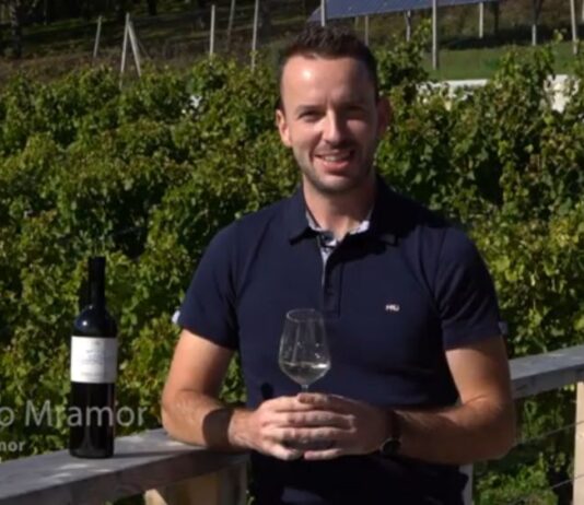 Vina Mramor – In Cultura Veritas