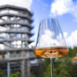 VinDel on Tour – 15. 8. 2025