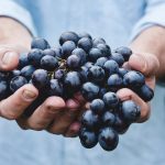 Mag. Tjaša Kos: Trženjski napori malega vinarja