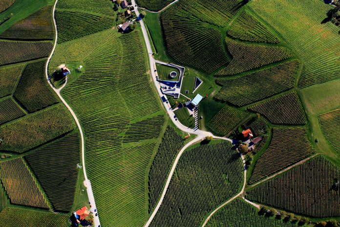 Vinorodna Štajerska